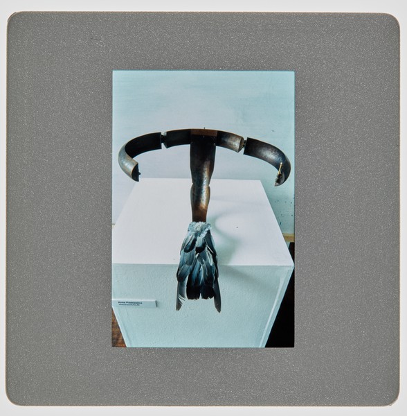 1997 Joint Honours Degree Show Slide - Creator unknown
