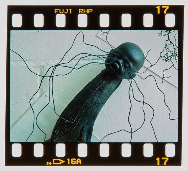 2000 Joint Honours Degree Show Slide - Creator unknown