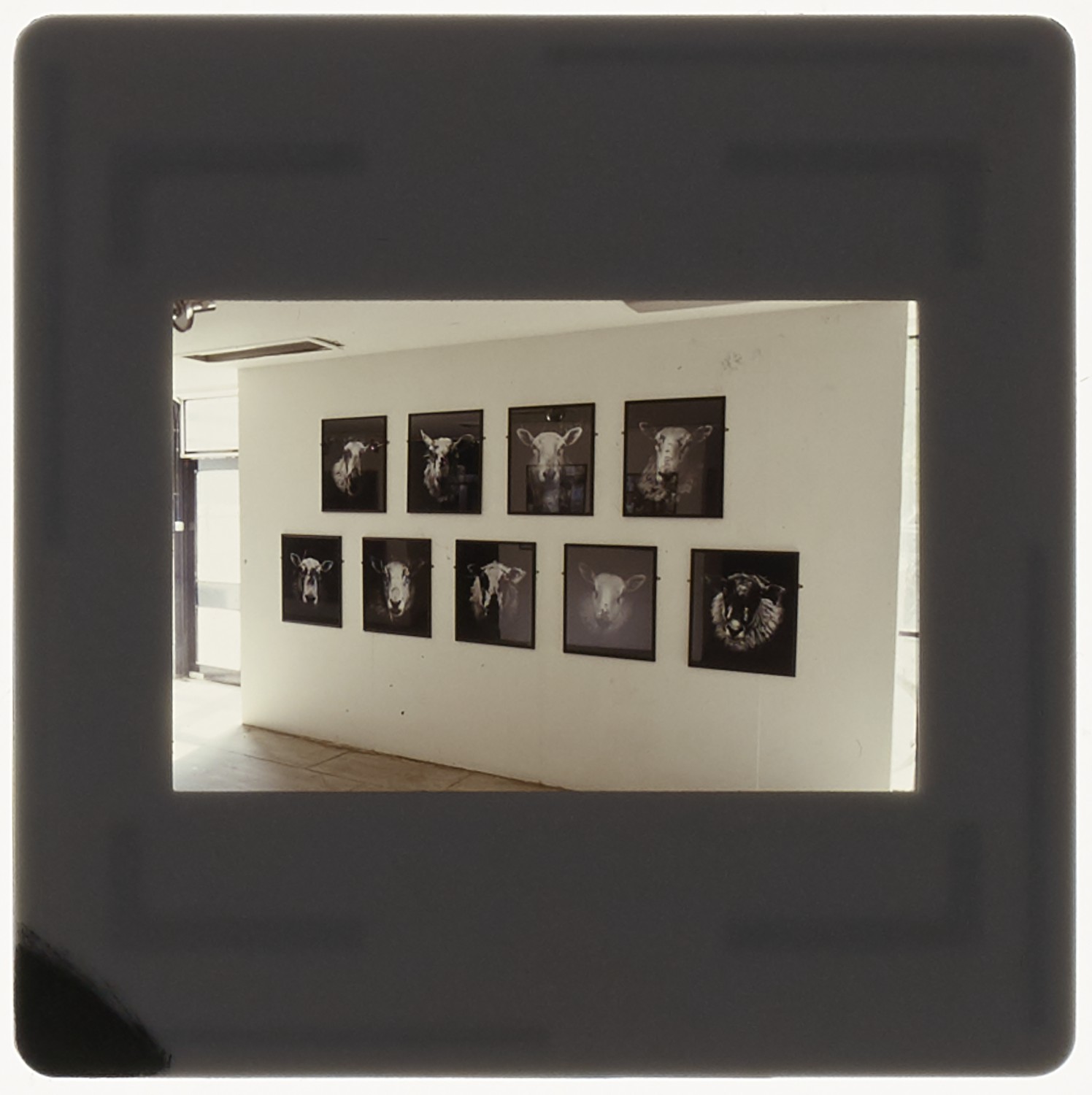 1989 BA Painting Degree Show Slide - Creator unknown