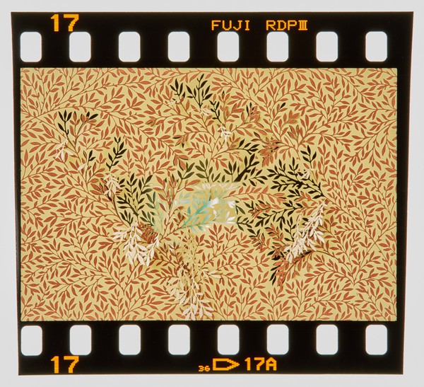 2001 BA Painting Degree Show Slide - Creator unknown