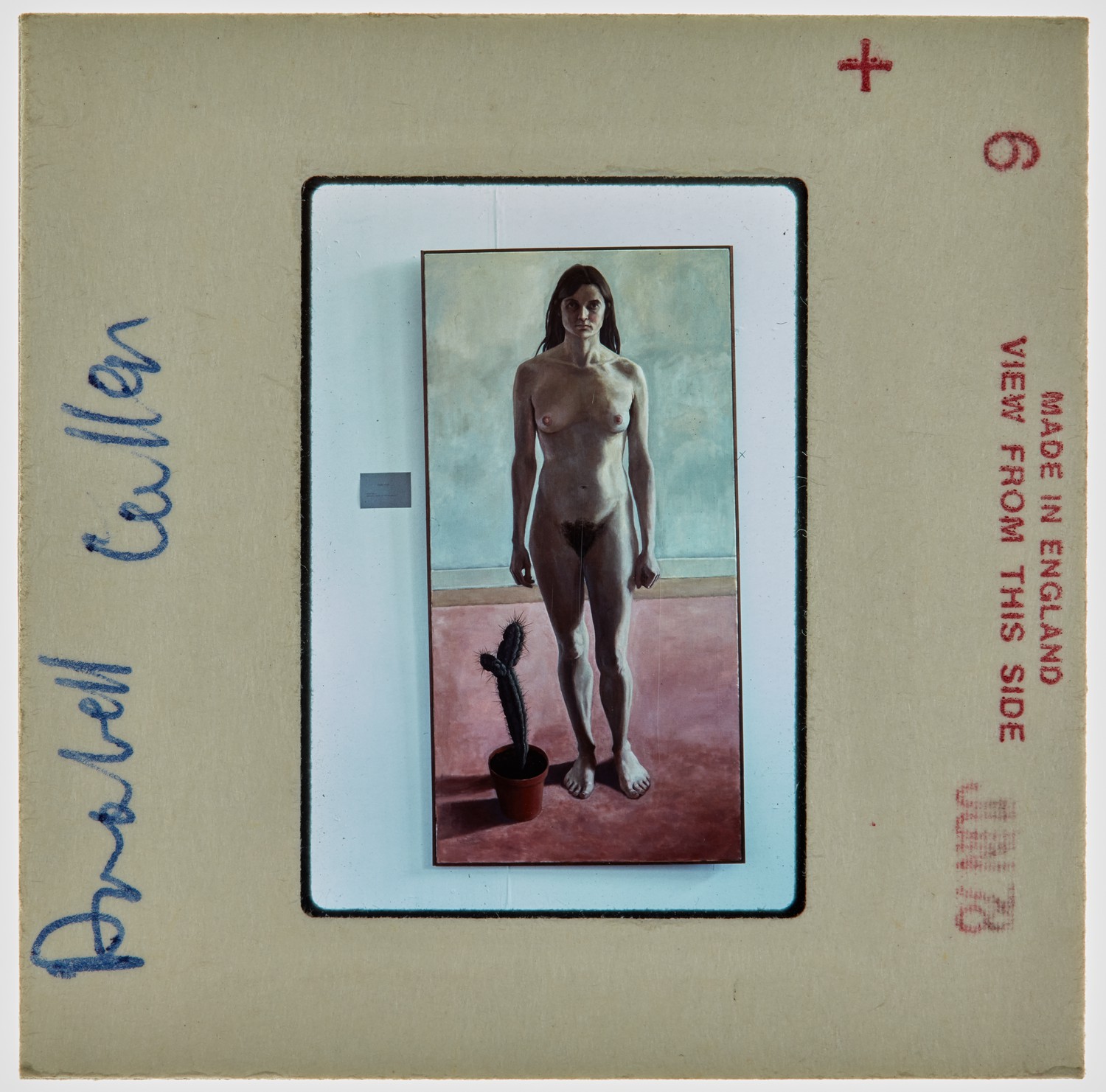 1978 BA Degree Show Slide - 'Annabell Cullen'