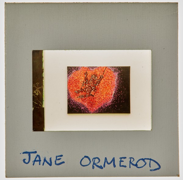 1989 BA Degree Show Slide - 'Jane Ormerod'