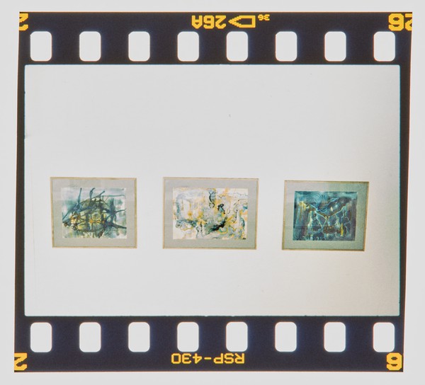 2000 Joint Honours Degree Show Slide - Creator unknown