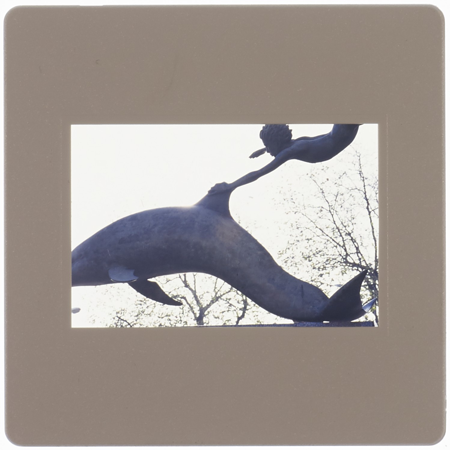 Undated Degree Show Slide - Creator unknown