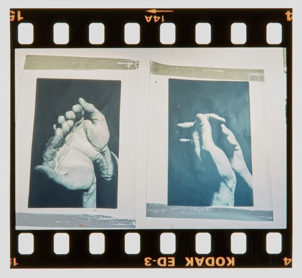2001 Foundation Fine Art Degree Show Slide - Creator unknown