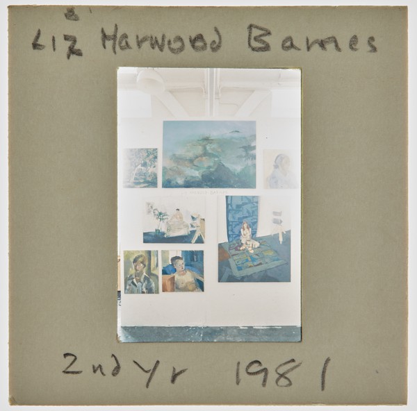 1981 2nd Year Degree Show Slide - 'Liz Harwood Barnes'