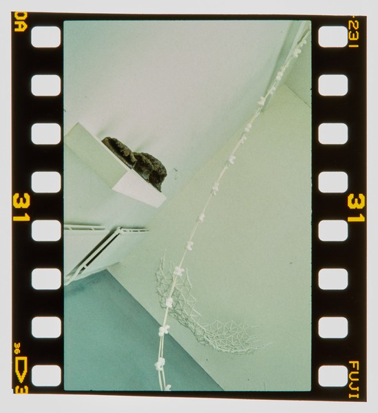 2000 Joint Honours Degree Show Slide - Creator unknown