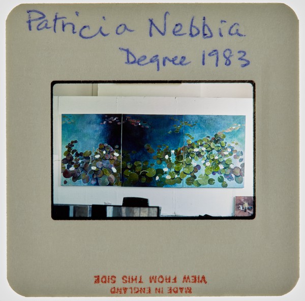 1983 BA Degree Show Slide - 'Patricia Nebbia'