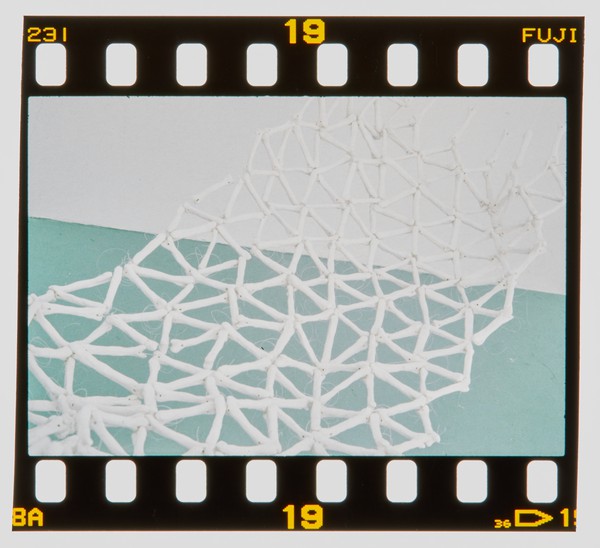 2000 Joint Honours Degree Show Slide - Creator unknown