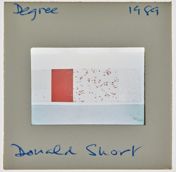 1989 BA Degree Show Slide - 'Donald Short'