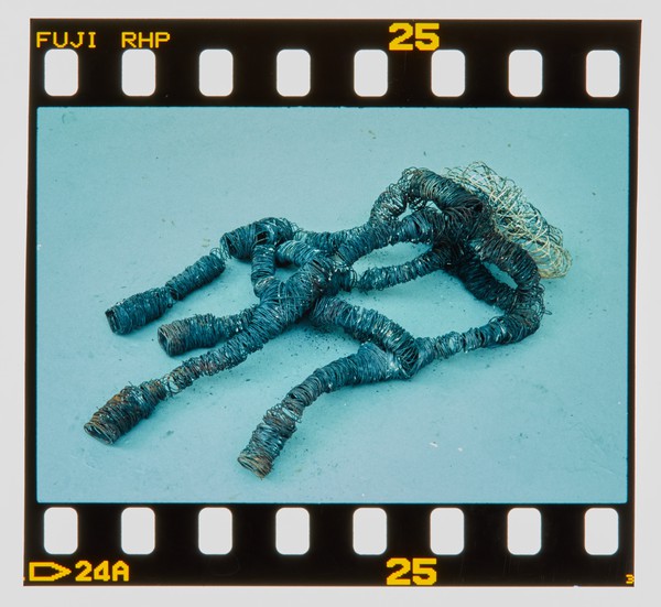 2000 Joint Honours Degree Show Slide - Creator unknown
