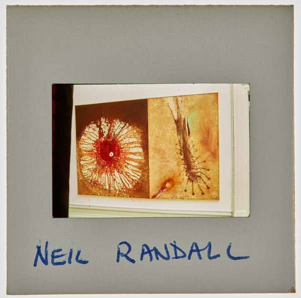 1989 BA Degree Show Slide - 'Neil Randall'