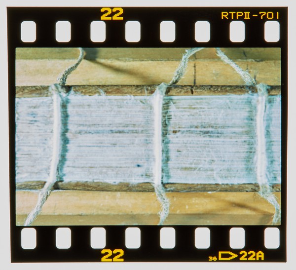 1999 Pre Degree Show Slide - Creator unknown