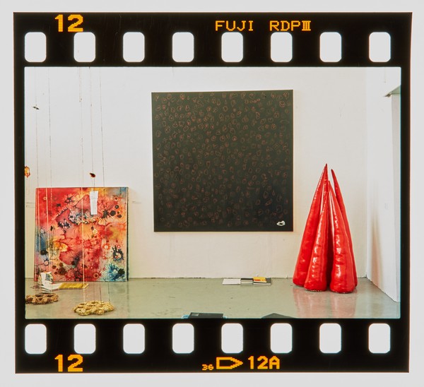 2001 BA Painting Degree Show Slide - Creator unknown