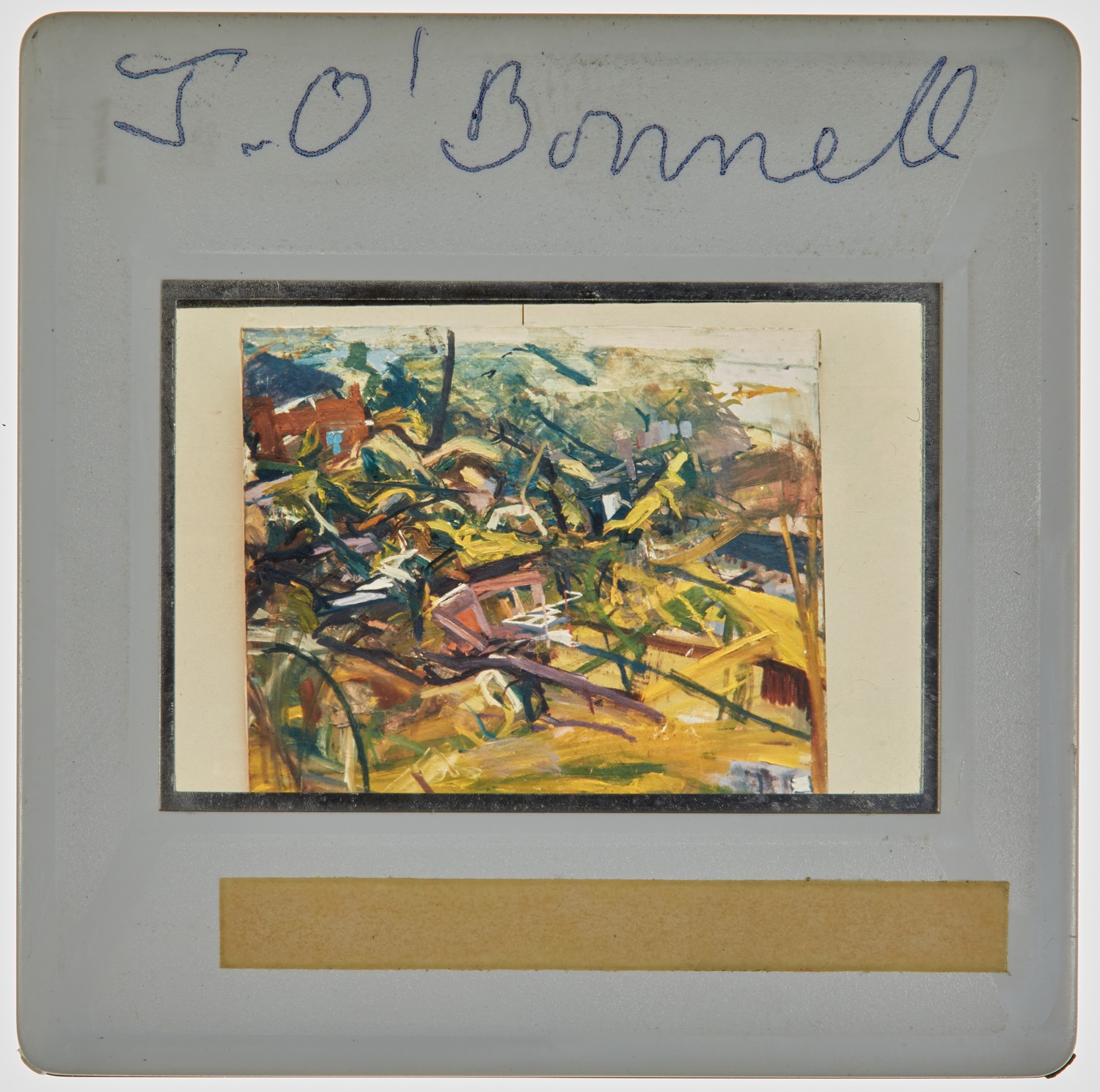 1972 Diploma in Painting Degree Show Slide - 'J O'Donnell'