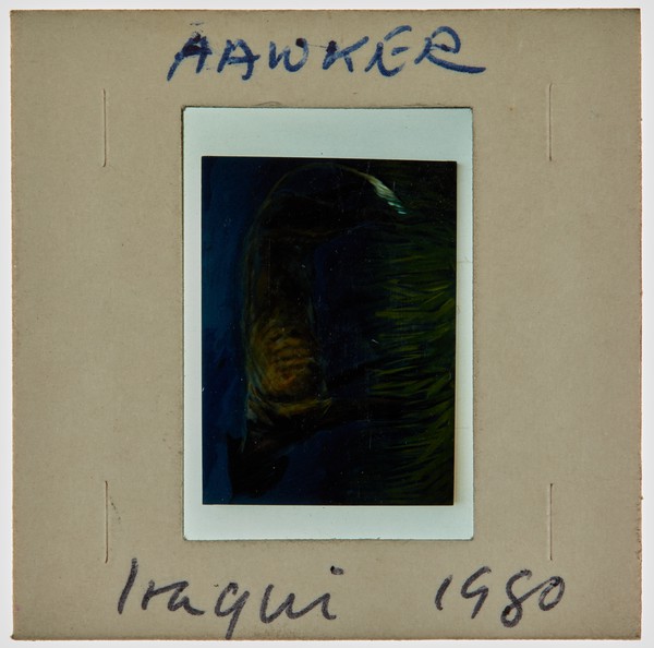 1980 Iraqi Exhibition Slide - 'Hawker'