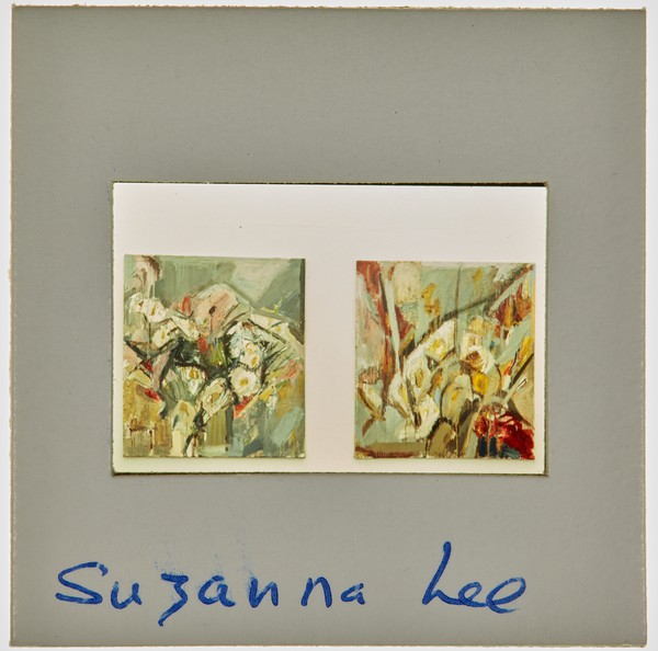 1988 BA Painting Degree Show Slide - 'Suzanne Lee'