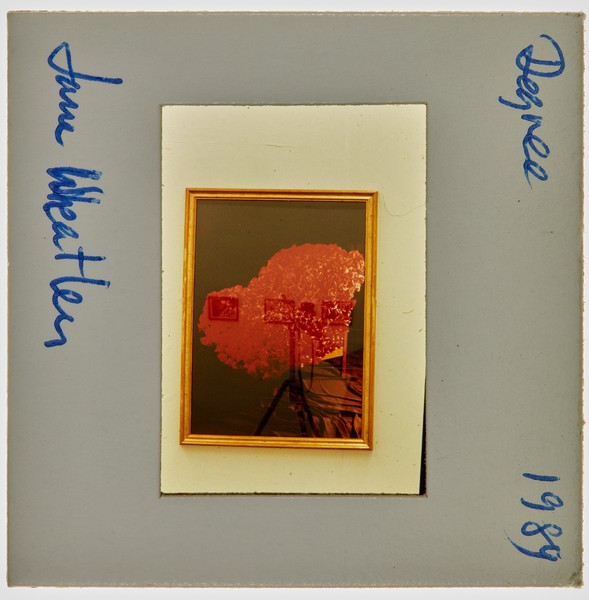 1989 BA Degree Show Slide - 'Jane Wheatley'