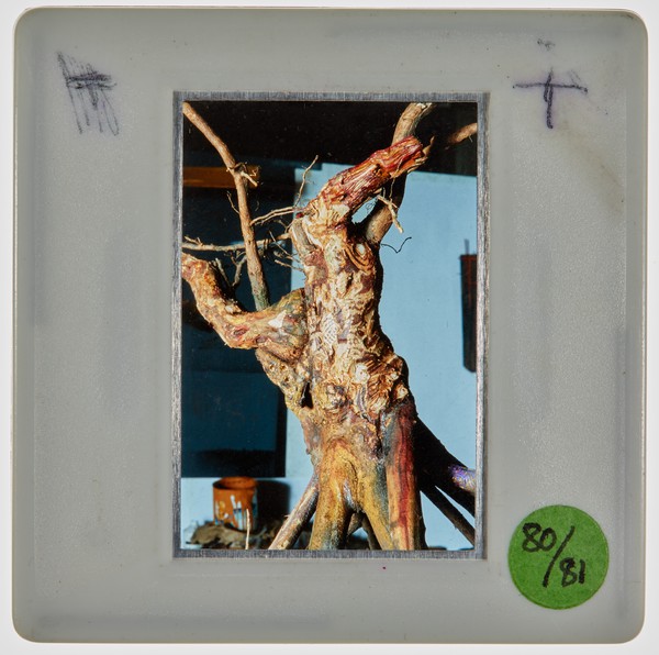 1981 1st Year 3D Design Major Task: Frames Slide - Creator unknown