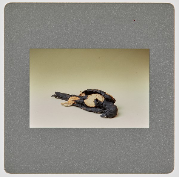1997 Ceramics Degree Show Slide - Creator unknown