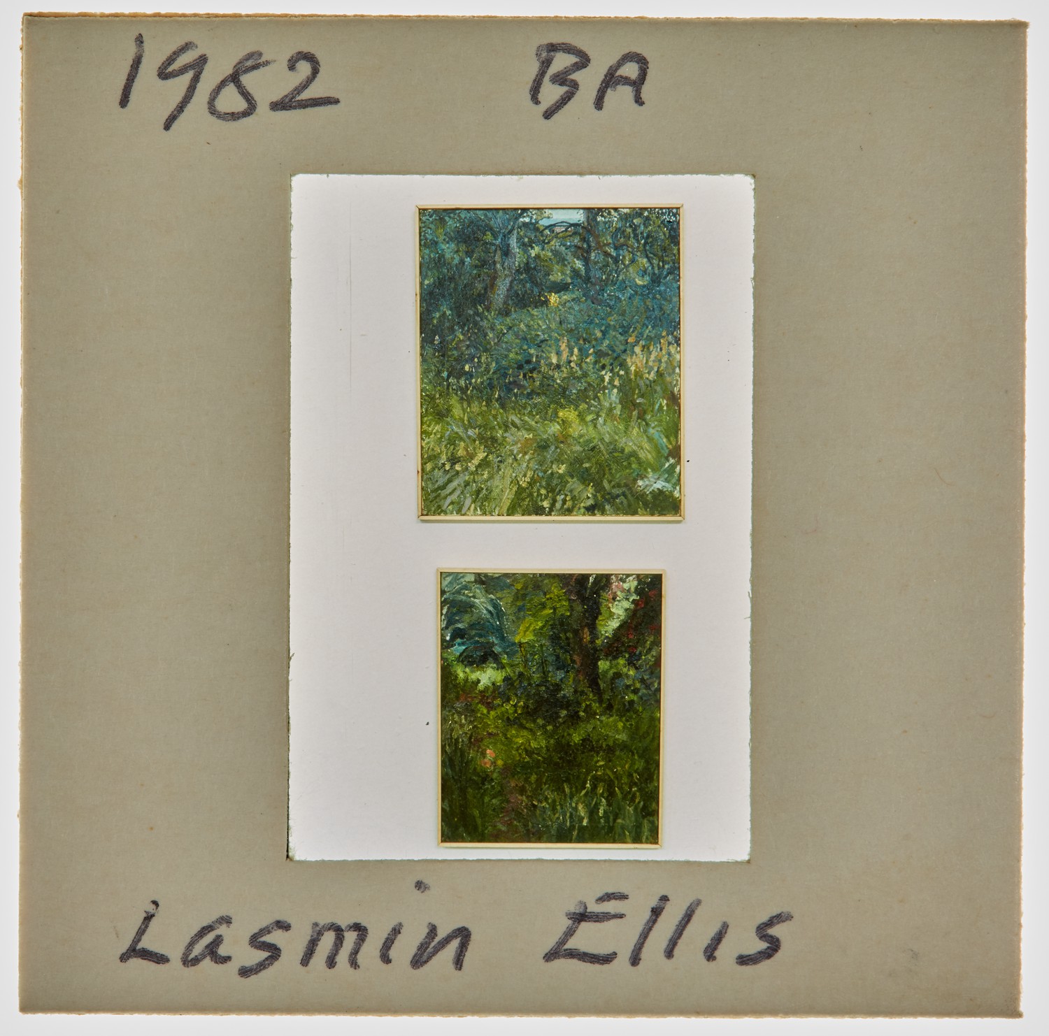 1982 BA Degree Show Slide - 'Lasmin Ellis'