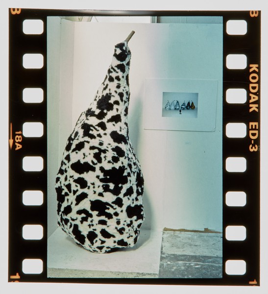 2001 Foundation Fine Art Degree Show Slide - Creator unknown