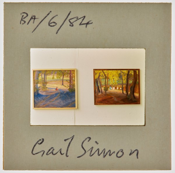 1984 BA Degree Show Slide - 'Gail Simon'