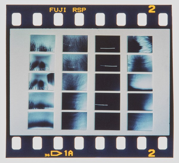 2000 Joint Honours Degree Show Slide - Creator unknown