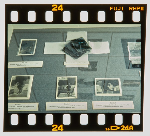 2001 MA Conservation Degree Show Slide - Creator unknown