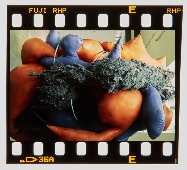 2000 Joint Honours Degree Show Slide - Creator unknown