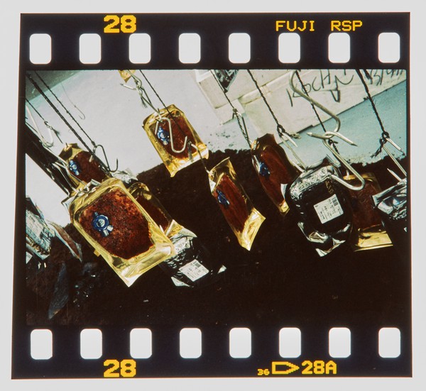 2000 Joint Honours Degree Show Slide - Creator unknown