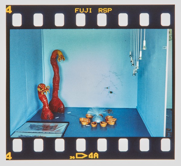 2000 Joint Honours Degree Show Slide - Creator unknown