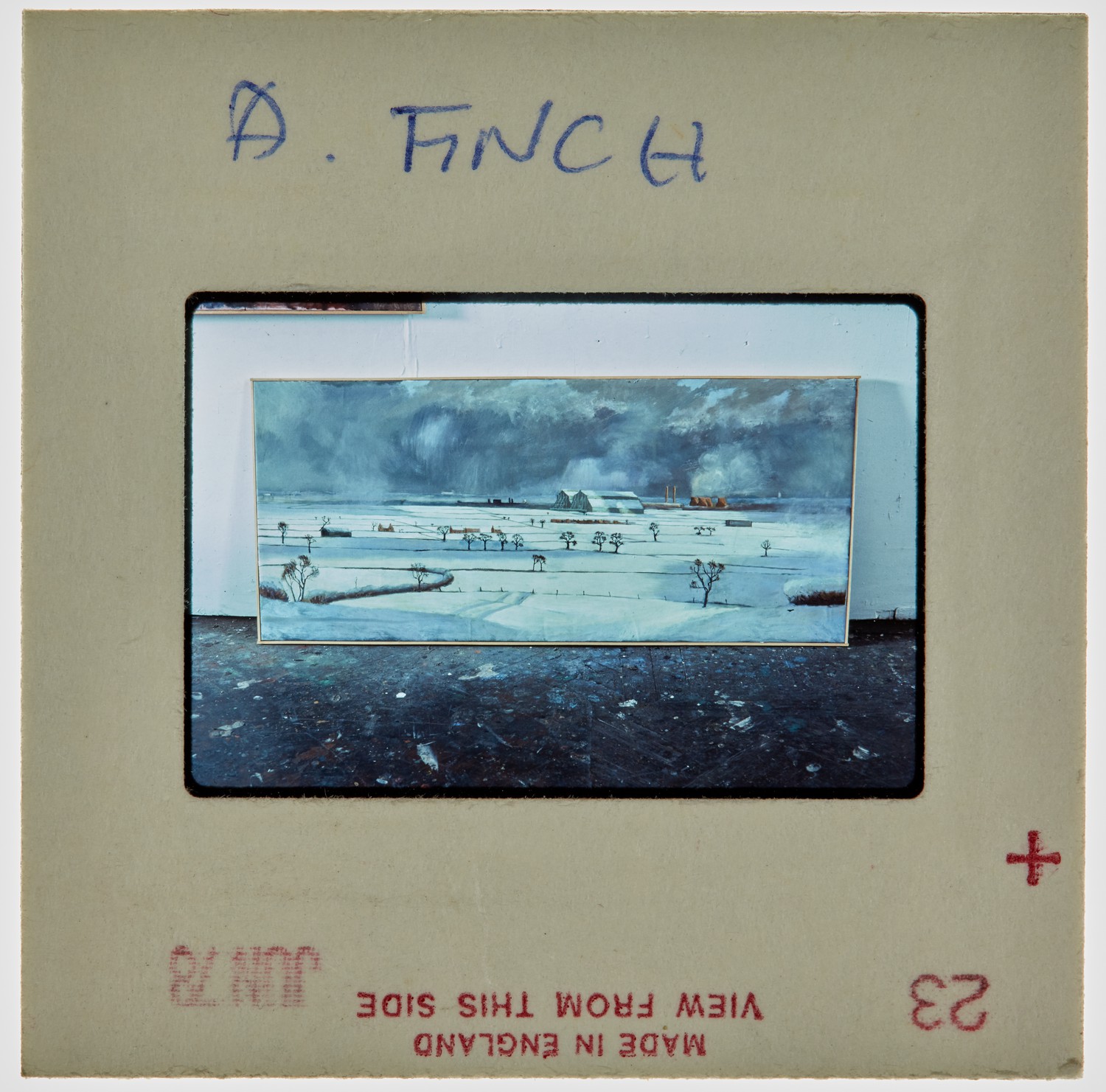1978 BA Degree Show Slide - 'A Finch'