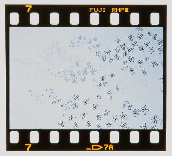2001 Foundation Graphics Degree Show Slide - Creator unknown