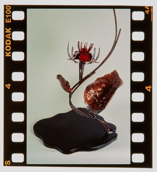 1999 BTEC Degree Show Slide - Creator unknown