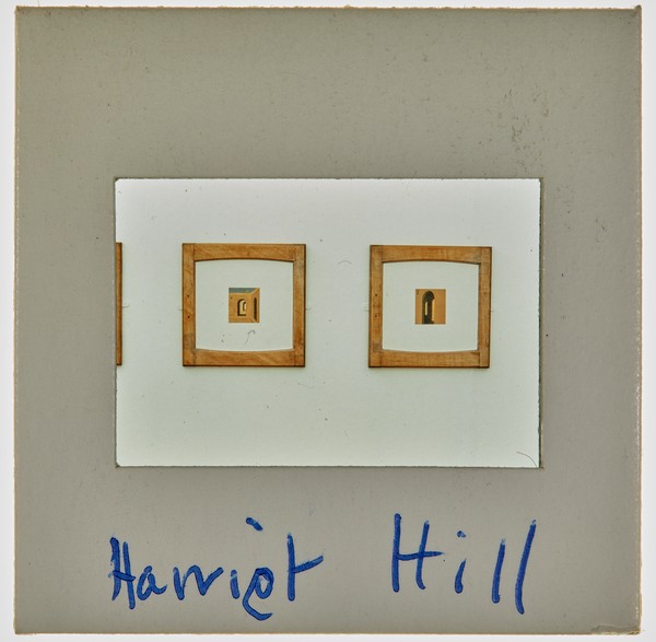 1989 BA Degree Show Slide - 'Harriet Hill'
