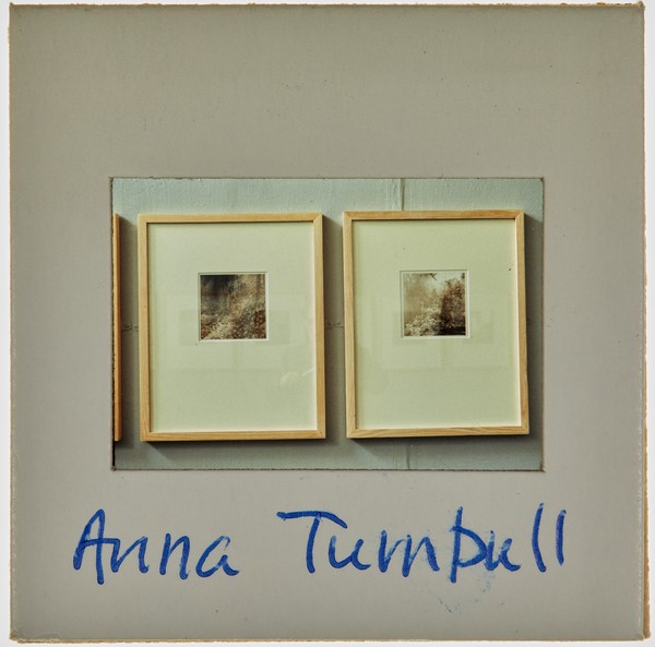 1988 BA Painting Degree Show Slide - 'Anna Turnbull'