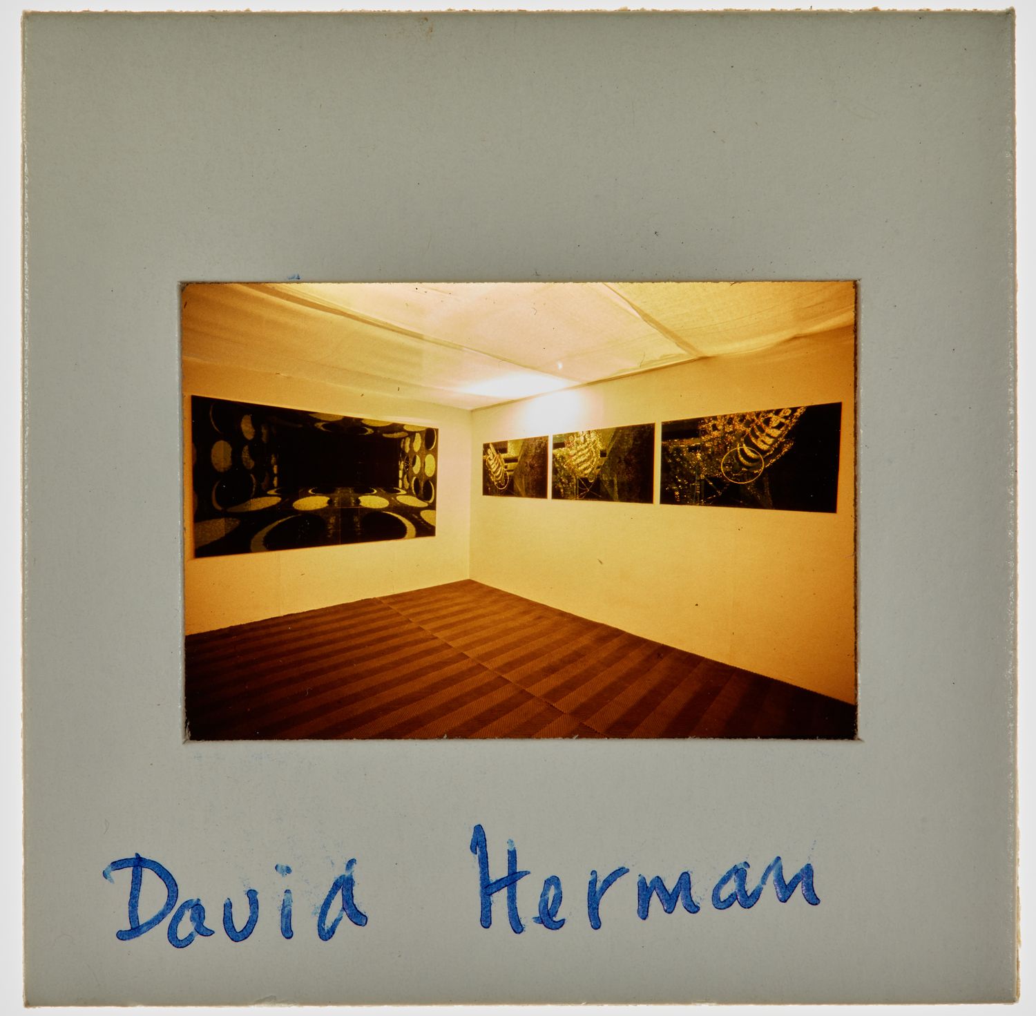 1989 BA Degree Show Slide - 'David Herman'