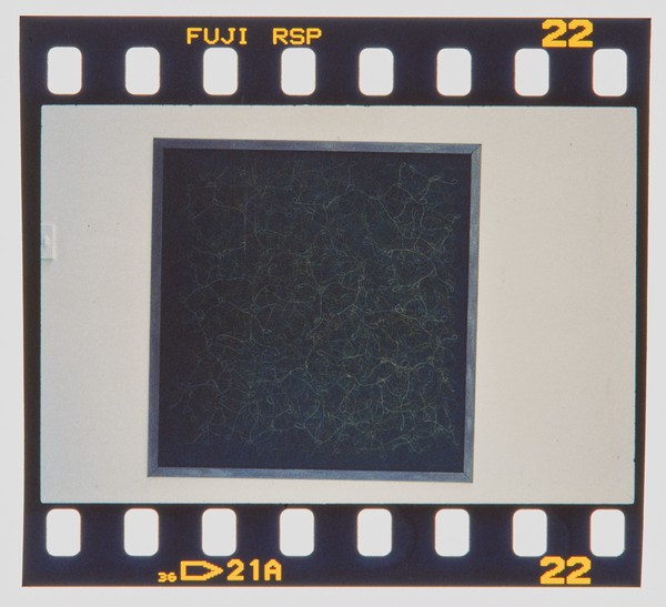 2000 Joint Honours Degree Show Slide - Creator unknown