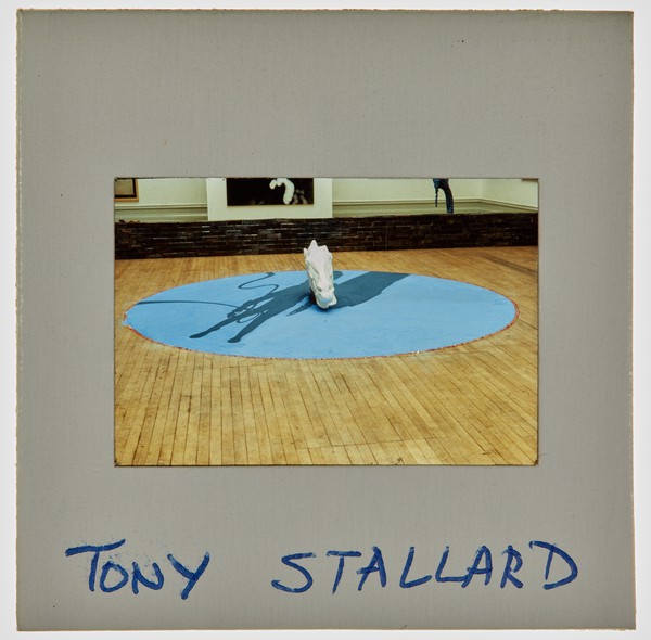 1989 BA Degree Show Slide - 'Tony Stallard'