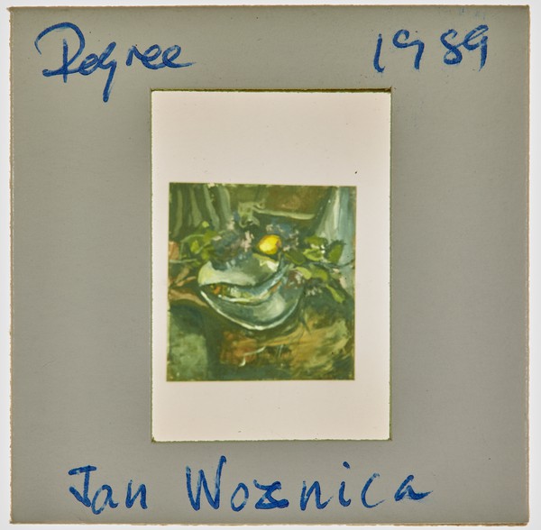 1989 BA Degree Show Slide - 'Jan Woznica'