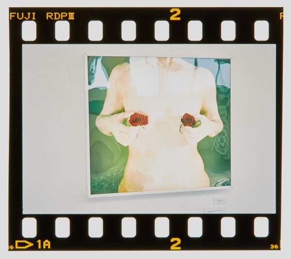 2001 BA Sculpture Degree Show Slide - Creator unknown