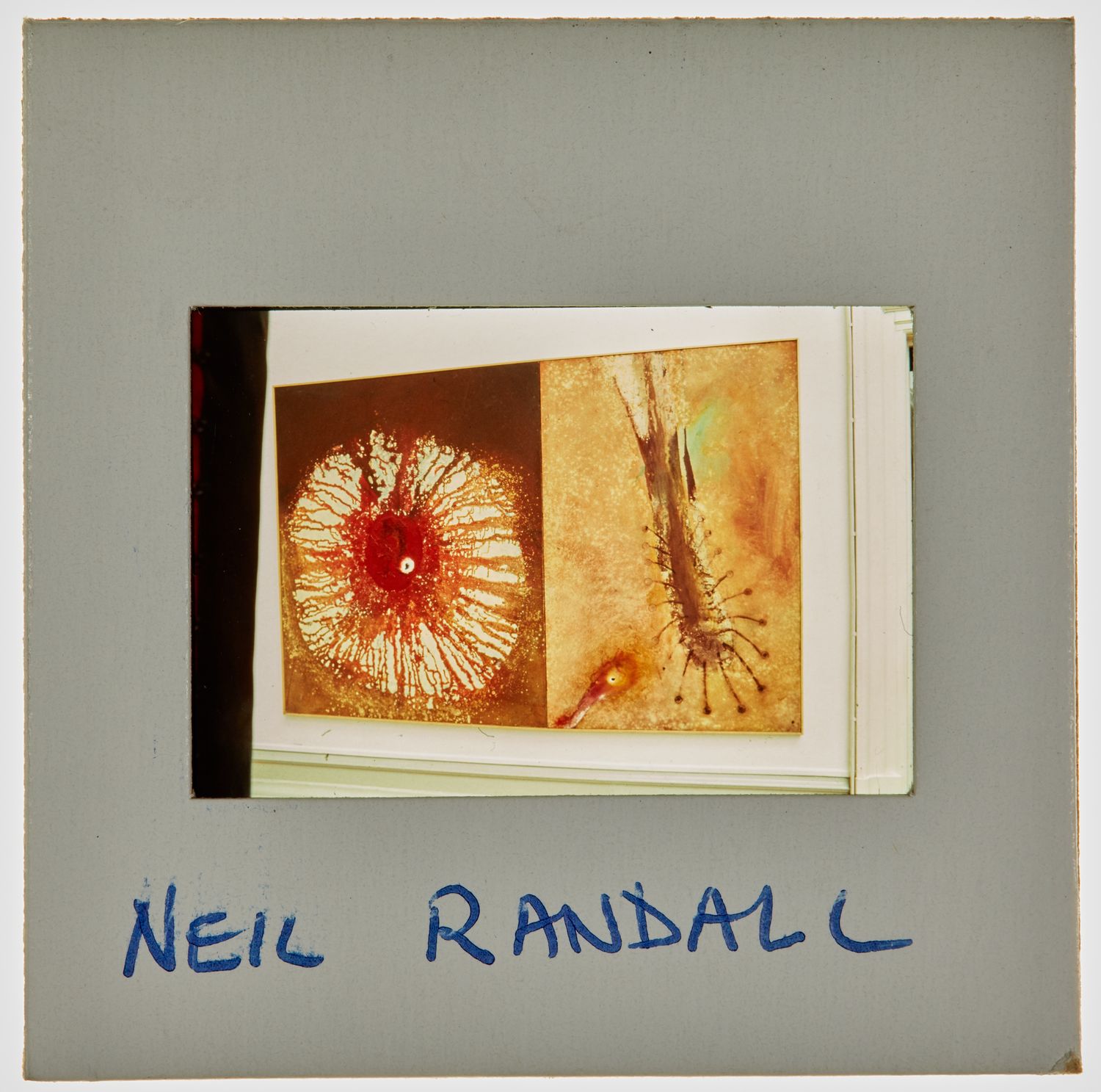 1989 BA Degree Show Slide - 'Neil Randall'