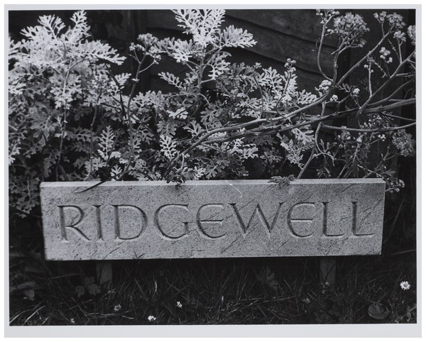 Ridgewell