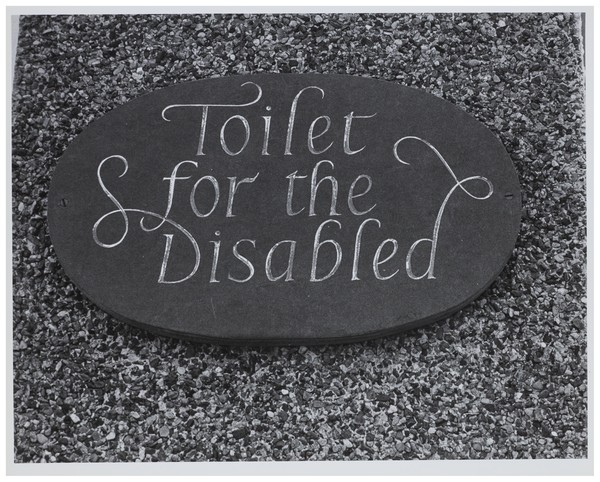Toilet for the disabled