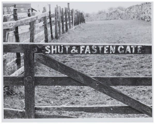 Shut & fasten gate