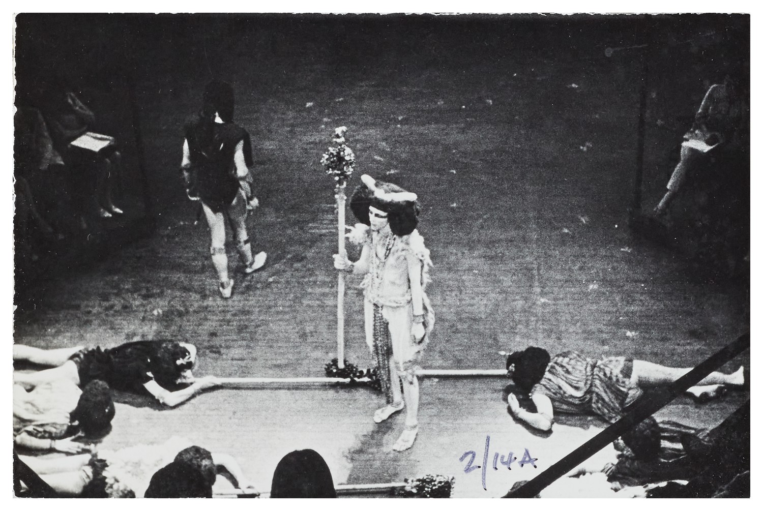 The Bacchae