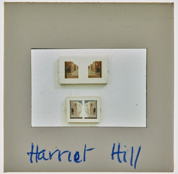 1989 BA Degree Show Slide - 'Harriet Hill'