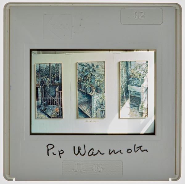 1984 2nd Year Degree Show Slide - 'Pip Warmoth'