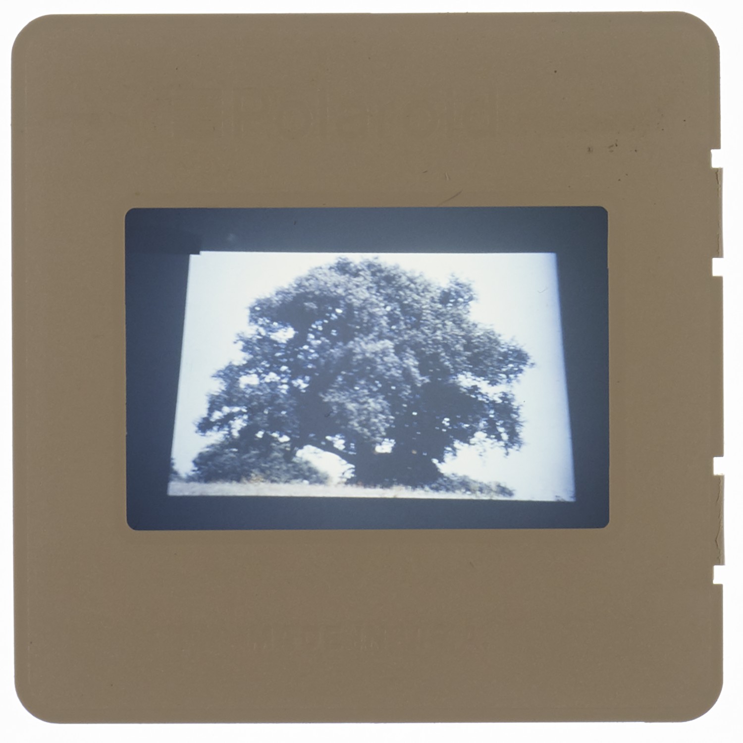 1996 Unknown Degree Show Slide - Creator unknown